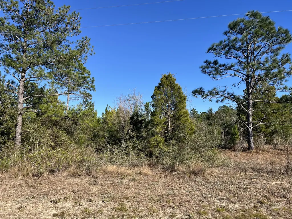 Tbd Fairview Road Marianna FL 32448