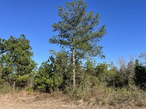 Tbd Fairview Road Marianna FL 32448