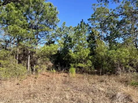 Tbd Fairview Road Marianna FL 32448