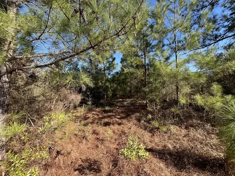 Tbd Fairview Road Marianna FL 32448