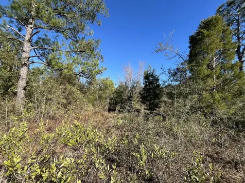 Tbd Fairview Road Marianna FL 32448