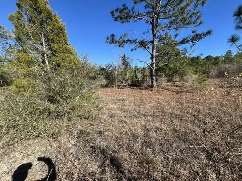 Tbd Fairview Road Marianna FL 32448