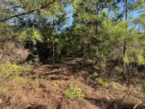 Tbd Fairview Road Marianna FL 32448