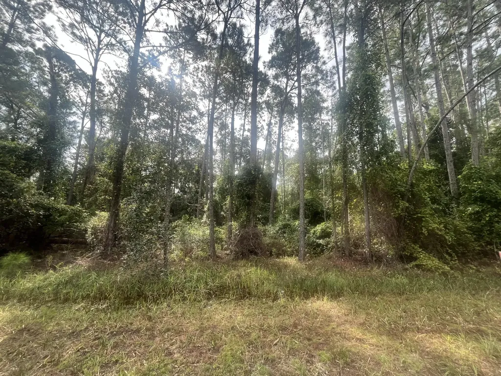 223 SE 2nd Street Georgetown FL 32139