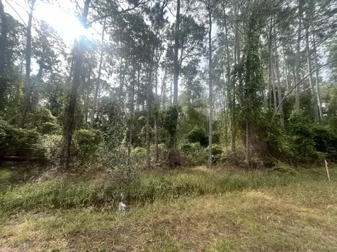 223 SE 2nd Street Georgetown FL 32139
