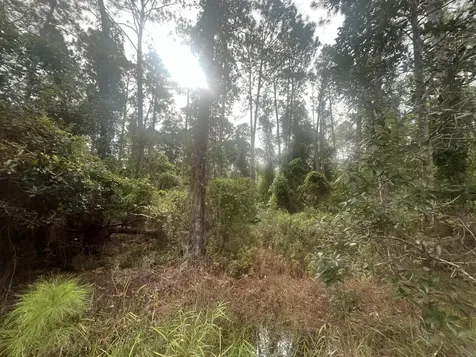 223 SE 2nd Street Georgetown FL 32139