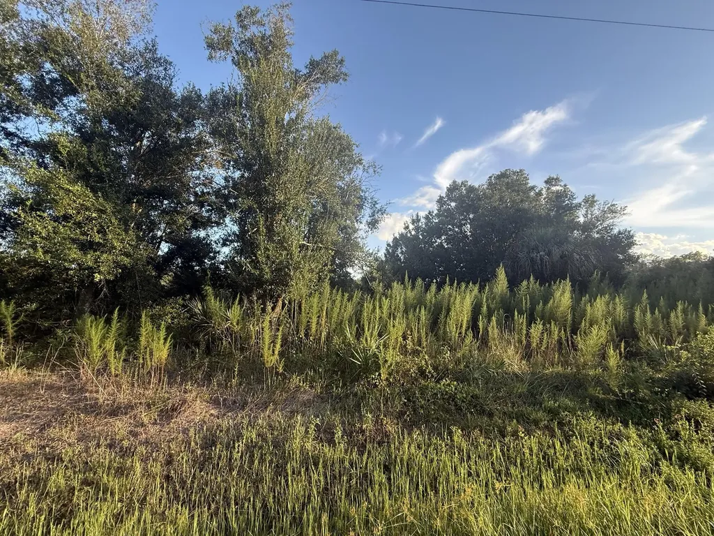 19426 NW 270th Street Okeechobee FL 34972