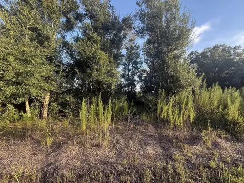 19426 NW 270th Street Okeechobee FL 34972