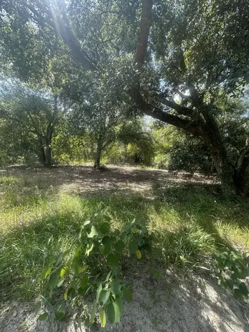 22128 NW 258th Street Okeechobee FL 34972