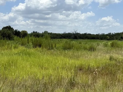 305 Fawn Trail Street Palm Bay FL 32909