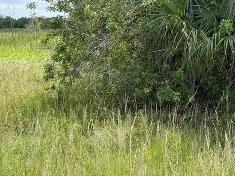 305 Fawn Trail Street Palm Bay FL 32909