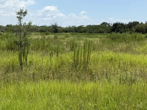 305 Fawn Trail Street Palm Bay FL 32909