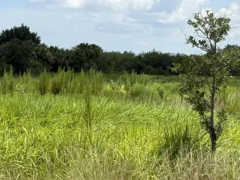 305 Fawn Trail Street Palm Bay FL 32909