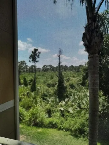 3615 NW Adriatic Lane Jensen Beach FL 34957