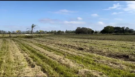 1503 S Header Canal Road Fort Pierce FL 34945