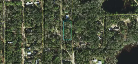 Tbd Franklin Drive Crawfordville FL 32327