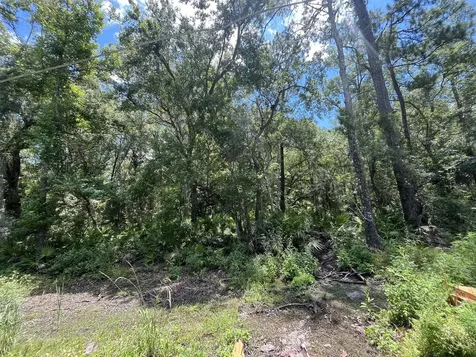 Tbd Franklin Drive Crawfordville FL 32327