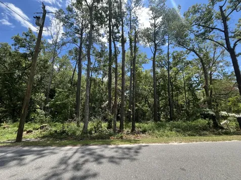 Tbd Franklin Drive Crawfordville FL 32327