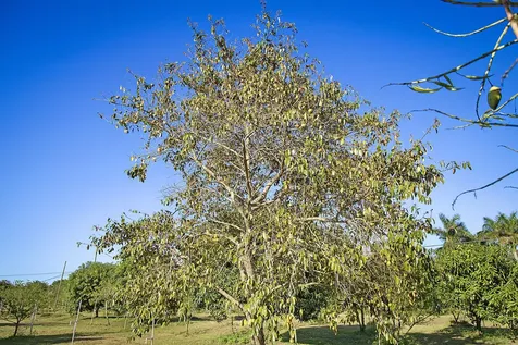 3057 D Road Loxahatchee Groves FL 33470