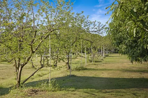 3057 D Road Loxahatchee Groves FL 33470