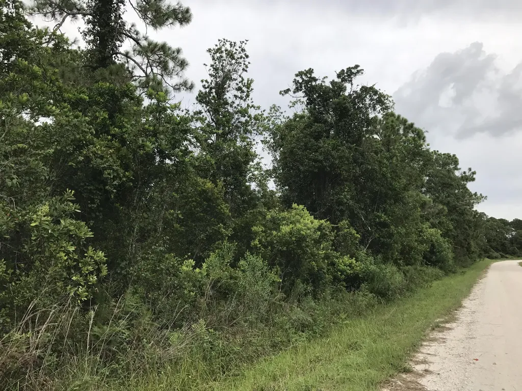 1126 Greenfield Street Lake Placid FL 33852