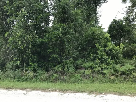 1126 Greenfield Street Lake Placid FL 33852