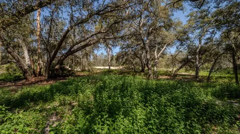 2011 Hartt Road Sebring FL 33870