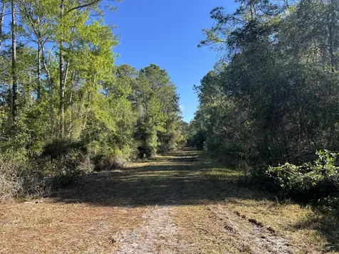 208 SE 3rd Street Georgetown FL 32139