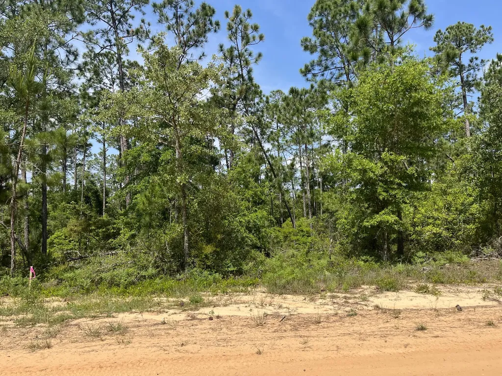 Tbd Holly Springs Alford FL 32420