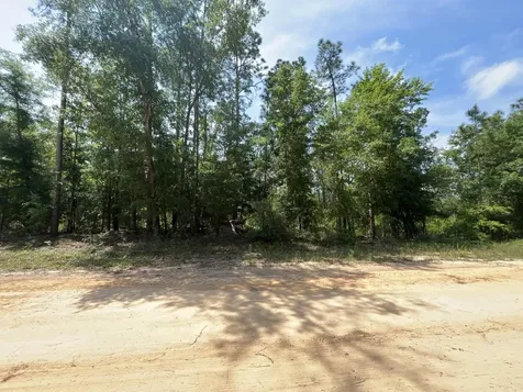 Tbd Holly Springs Alford FL 32420