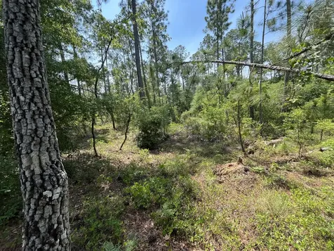 Tbd Holly Springs Alford FL 32420