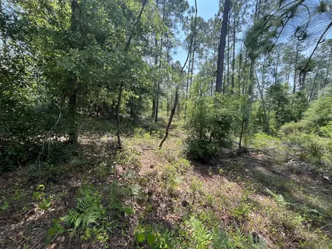 Tbd Holly Springs Alford FL 32420