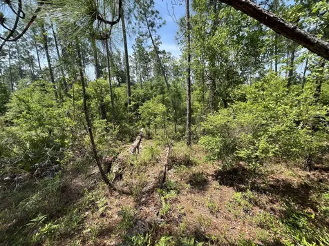 Tbd Holly Springs Alford FL 32420