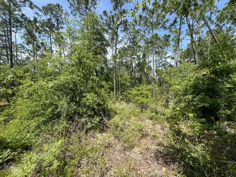 Tbd Holly Springs Alford FL 32420