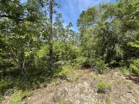 Tbd Holly Springs Alford FL 32420