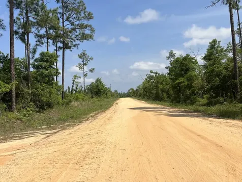 Tbd Holly Springs Alford FL 32420