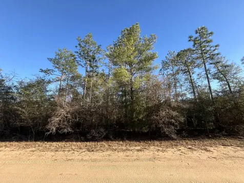 Tbd Goreville Alford FL 32420