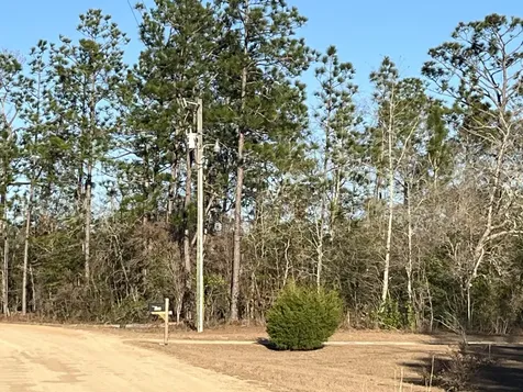 Tbd Goreville Alford FL 32420