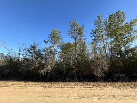 Tbd Goreville Alford FL 32420