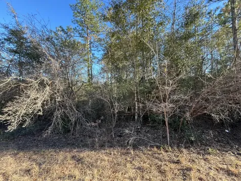 Tbd Goreville Alford FL 32420