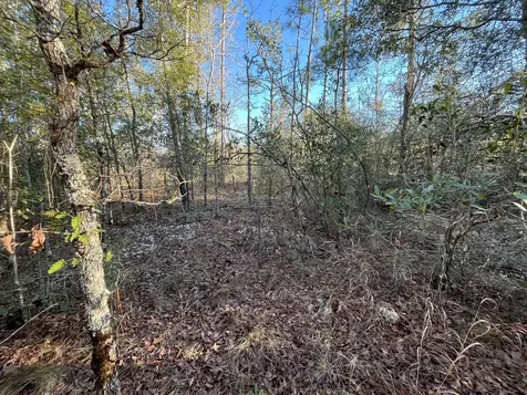 Tbd Goreville Alford FL 32420