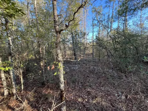 Tbd Goreville Alford FL 32420