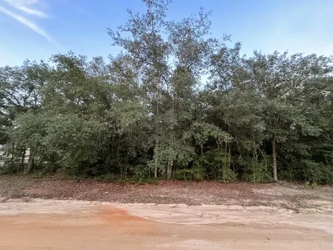 512 Oakcrest Drive Interlachen FL 32148