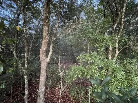 512 Oakcrest Drive Interlachen FL 32148