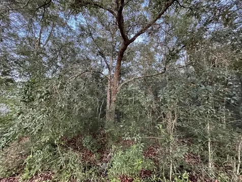 512 Oakcrest Drive Interlachen FL 32148