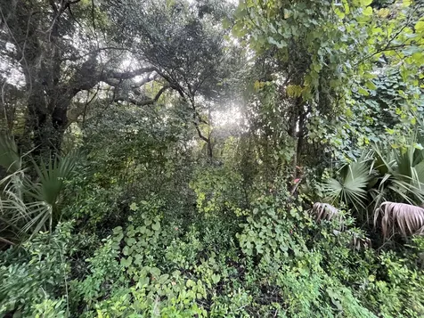 915 Annette Avenue Interlachen FL 32148