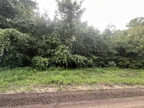 915 Annette Avenue Interlachen FL 32148