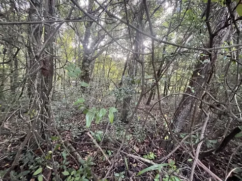 915 Annette Avenue Interlachen FL 32148