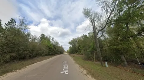 915 Annette Avenue Interlachen FL 32148