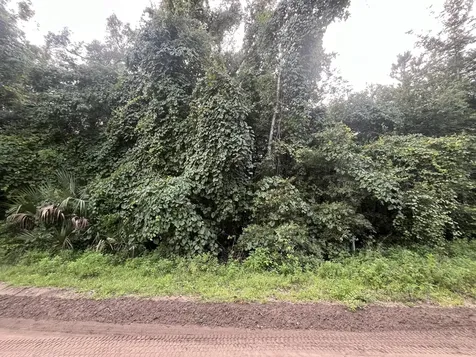 915 Annette Avenue Interlachen FL 32148